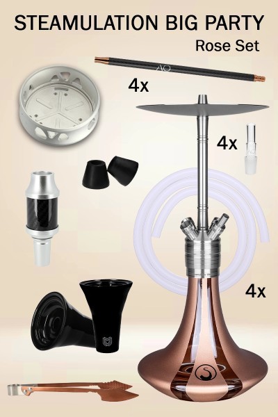 Steamulation Big Party Set Rose