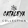 Cataleya